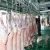 Import Hajj Mutton Meat Processing Machine For Halal Carcass Abattoir from China