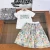 Import High-end childrens clothing T-shirt + skirt 2 sets toddler girls clothing sets from China