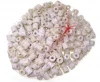 High end market purification water quality biochemical bacteria ball digestion bacteria white aquarium ceramic ring