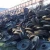 Import High Quality Cast Iron Scraps from Brazil