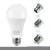 Import High Quality Emergency Smart Charge Led Light Bulb Work Light Rechargeable Lights Lamp from China