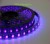Import High Quality Flexible 365 395nm Ultraviolet SMD5050 Copper UVC LED Strip from China
