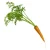 Import High Quality Fresh Carrot From China from China