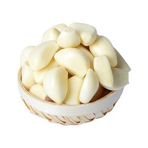 High Quality Fresh Garlic From China With Lower Price