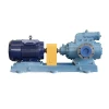 High quality Lube Oil Pump,high flow Fuel/Crude/Heavy Diesel Transfer,Oil Pumps for Power Plantsump