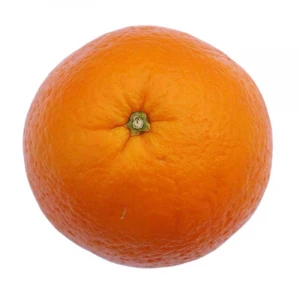 High Quality Navel Fresh Fruit Exporters Orange In Citrus