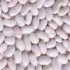High Quality Organic White Kidney Beans