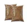 High Quality Raw Bulk Vermiculite for sales