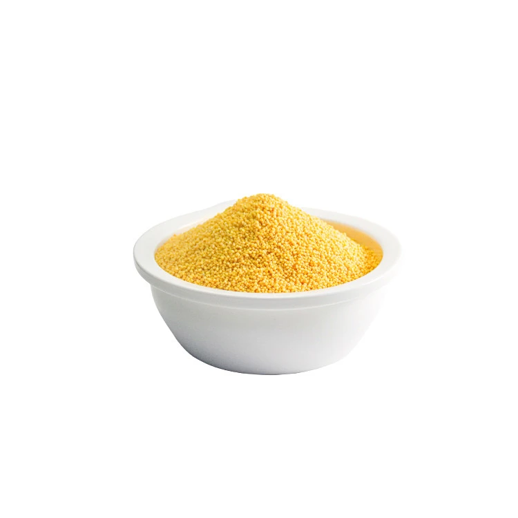 High Quality Supplier Organic Yellow Millet In Husk Seed