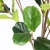 Import Home Garden Ornaments Plastic Plant Artificial Plants Potted Bonsai Ficus Tree from China