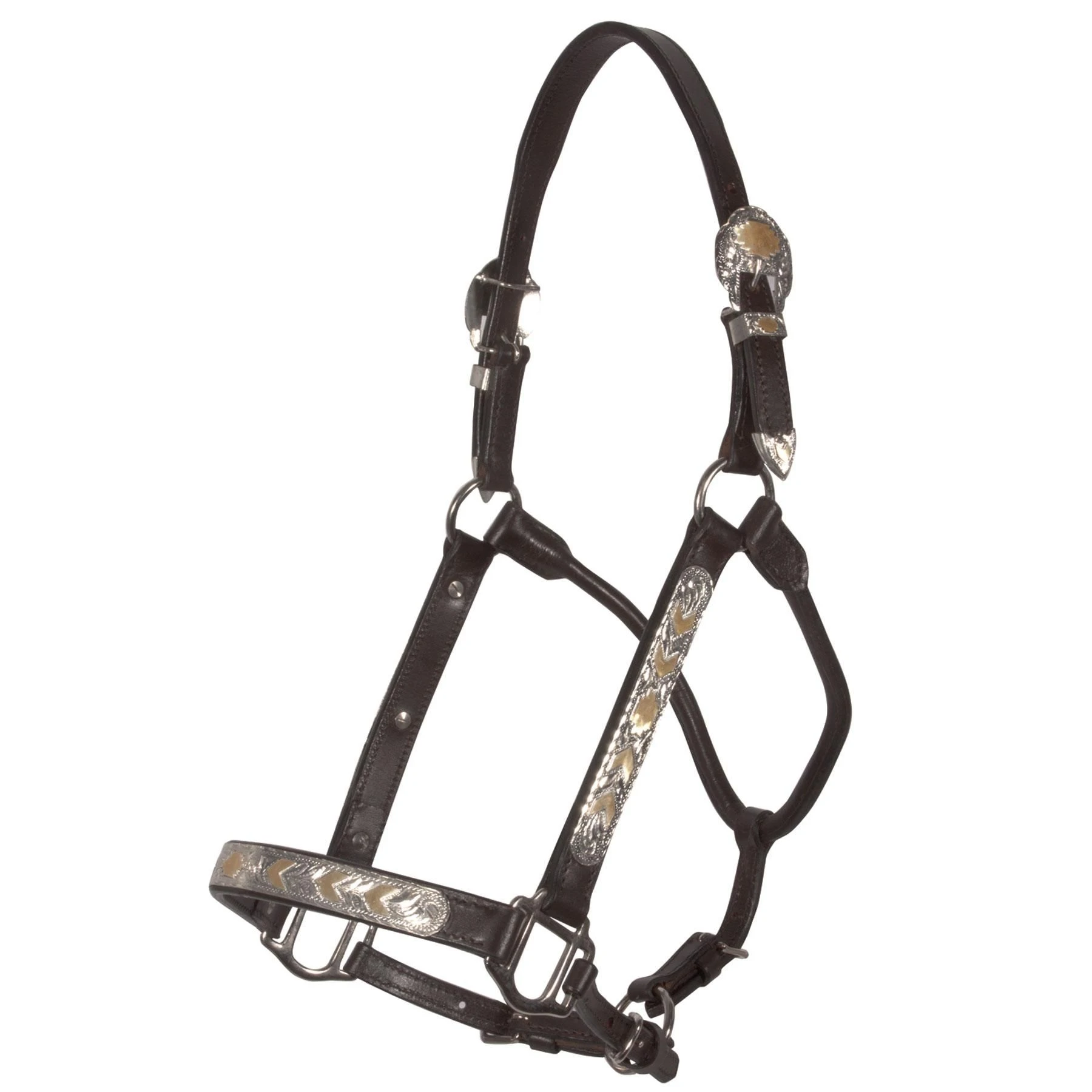 horse leather halters with silver plates