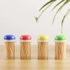 Hot Products Kitchen Gadgets Domestic Wooden Double Side  Mini Toothpicks Case Food sticks Toothpick Tube Holder