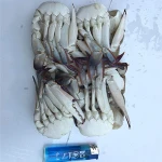 Hot sale Best quality Frozen Half-Cut Seafood blue swimming crab