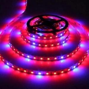 Hot sale Full spectrum DC12V smd 5050 Red Blue 4:1 5:1 strip led grow strip lighting for Greenhouse Hydroponic Plant Growing