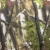 Import Hot sale generic camouflage windproof hunting tents pernment hunting blind H01-BS1015 from China