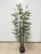 Import Hot Sale New Style Outdoor Decorative Artificial Lucky Green Bamboo Leaves Plant from China