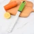Import Hot Sale Promotion Vegetable And Fruit Tools Kitchen Gadget Stainless Steel Cheese Grater Lemon Zester Gadget from China