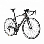 Hot Sales New Model Race Bike China Factory Wholesale Aluminum Alloy 16 Speed Road Bike