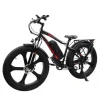 Hot Selling 26 Inch Fat Tire E-Bike Beach Electric Bicycle Aluminum Mountain Ebike Electric Fat Bike