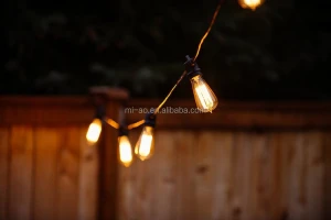 Incandescent Bulbs Included 48Foot Outdoor Weatherproof Commercial LED Globe Strip with Hanging Sockets vintage string lights