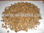 Indonesian Civet Coffee bean / Kopi Luwak