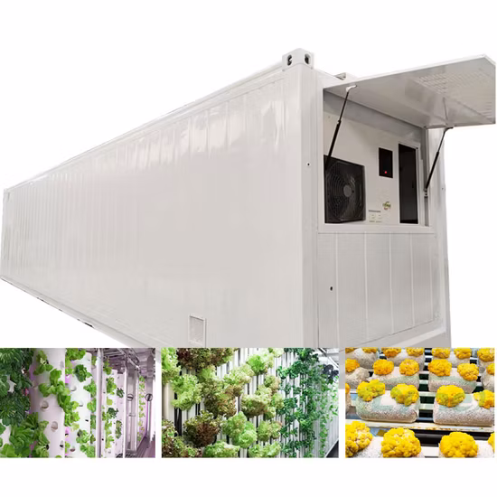 Indoor Farm Growbox Nft Channel Farming Container 40FT Shipping Hydroponics System Vertical