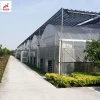 Indoor Greenhouse planting system growing media commercial agricultural hydroponic rock wool