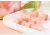 Import Japanese peach fruit juice ginger soft case milk powder candy from Japan