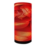 led factory SMD2121 cylinder  column flexible soft led module  P1.86 P2  P2.5 P3 P4  P5  led display screen