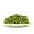 Import Low calorie gulten free pasta spinach flavor konjac noodles 270g konjac spinach udon from China