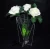 Import Luxury creative waterproof acrylic clear vase from China