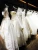 Import Luxury Wedding Dresses 2021 African Bridal Dresses Heavy Beading Ruffled Mermaid Bridal Dresses from China