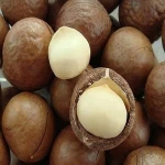 Macadamia Nuts/Macadamia Nut Kernels low price