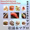 Matsuura bluefin tunas popular  in Mongolia./Tuna are eaten in a variety of eating, such as surimi and sashimi in Japan.