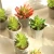 Mini Artificial  plants live succulent plants with pot tropical plants artificial flowers
