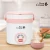 Import Mini Rice Cooker BCR-230 from South Korea