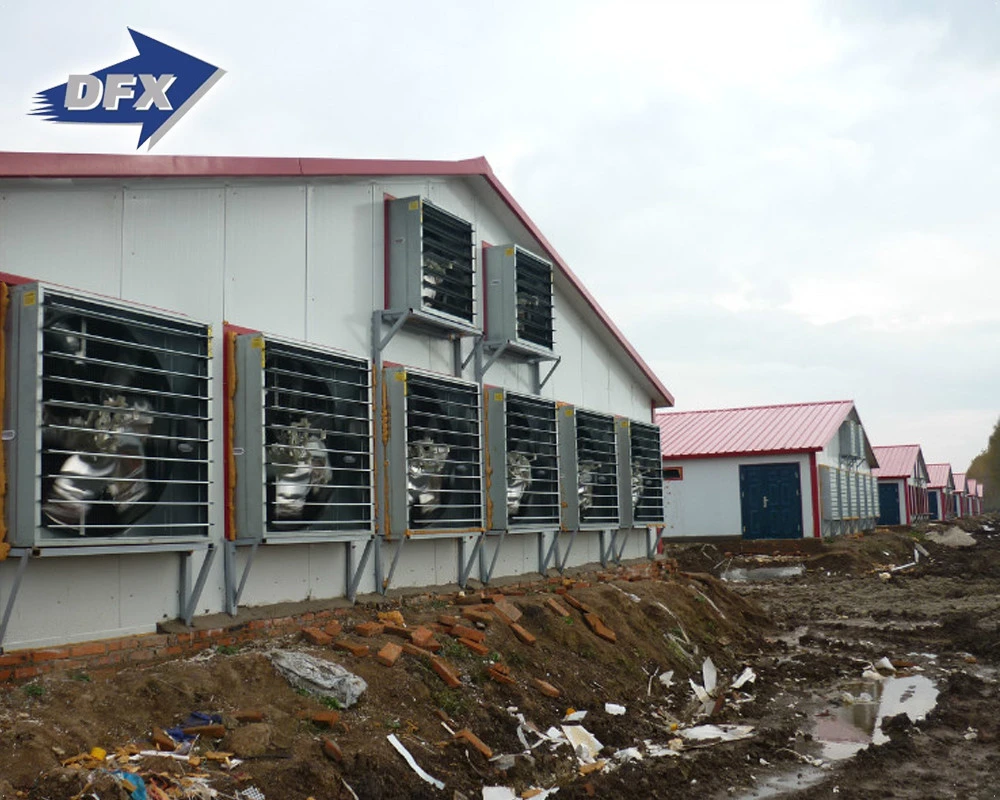 Modern Automated Farming Steel Structure Poultry House Chicken Farm Supplies