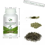 Natural Chinese Bulk Organic Jiaogulan Sliming Weight Loss Leaf Capsules Herbal Herb Detox Beauty Slim Jiaogulan Tea