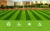 Import Natural rumput sintetis for garden artificial grass sports flooring from China