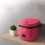 Import New Arrival Square Korea Design Red Brown House Baby School Student Personal Mini Rice Cooker with Accessories from China