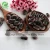 Import new crop black purple speckled kidney beans from China