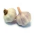 Import new crop garlic vegetable fresh garlic natural garlic fresh fruit vegetable from China