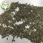 new crop hulled Chinese sunflower seeds high quality direct factory price