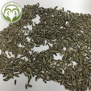 new crop hulled Chinese sunflower seeds high quality direct factory price