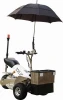 new FOURSTAR electric golf cart with umbrella