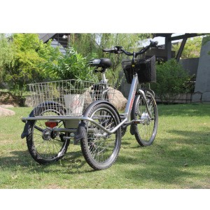 New Style Double Basket Cargo Bike Front Hub Motor 3 Wheel Electric Loading  Bicycle