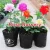 Import nursery pot 1 2 3 4 5 inch orchid sunflowers propagation cherry from Taiwan
