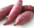 Import OEM vegetables and fruits Sweet Potato High quality from Vietnam