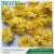 Import Organic Chrysanthemum tea 40 grams packing from China