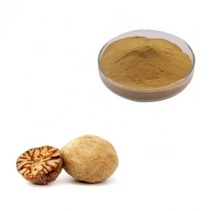 Organic Dried Spice and Flavour Nutmeg and Mace Extract Powder